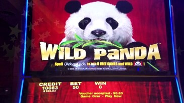 Free Wild Panda Slots Online
