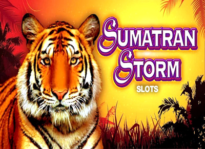 Top Slot Game of the Month: Sumatran Storm