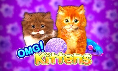 Omg Kittens Slot