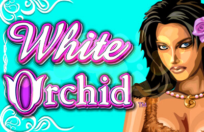 Top Slot Game of the Month: White Orchid Slots