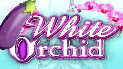 White Orchid Slots