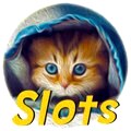 Over 400 slots & casino games to choose from