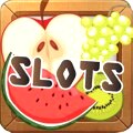 Play More Than 250 Top Slots Titles!