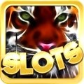 Play over 350 top slot games and casino games