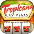 Gambling experience that offers Las Vegas Style games.