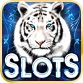 Play over 350 amazing slot machines!