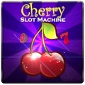 Over 550 slots and casino games on offer