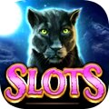 Join the very best online slots experience!