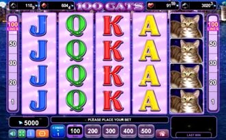 100 Cats Free Slots