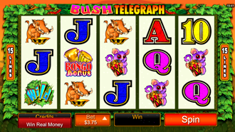 Bush Telegraph Slot Machine