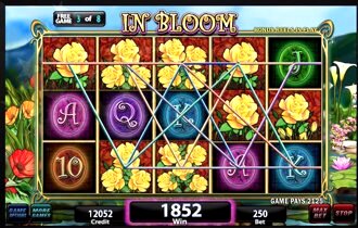 Igt Slots: Sumatran Storm