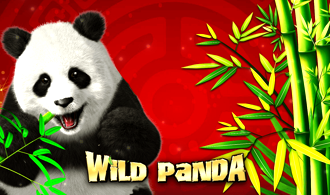 Panda Panda Slot Machine