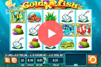 play goldfish slots online free