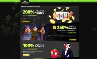 Raging Bull Casino Software