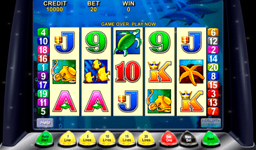 Dolphin King Slot Machine Online
