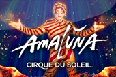 Cirque Du Cheval Slot