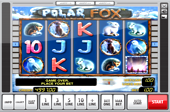 Polar Fox Slots
