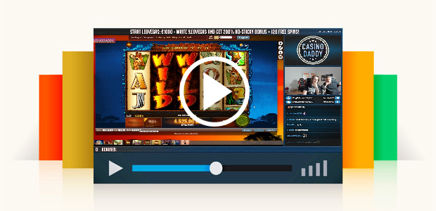 Big Win!!! Wild Life Big Win - Online Slots - Casino (gambling)
