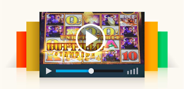 Buffalo Stampede Slot Machine Bonus Big Win and