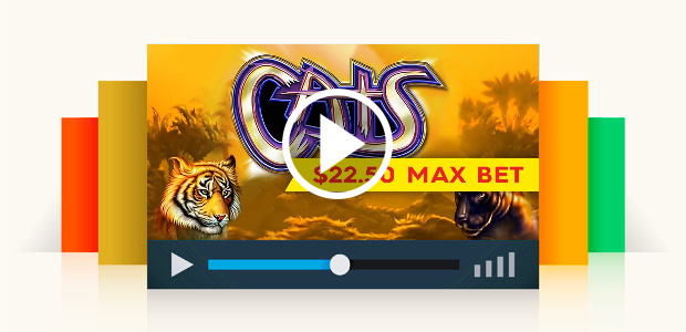 Cats Slot - Better Than Jackpot - $22.50 Max Bet!