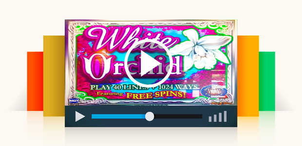 White Orchid Slot Machine, Dbg