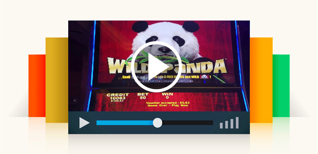 Wild Panda Slot Machine Bonus Big Win !