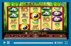 100 Pandas Slot from Igt - Gameplay