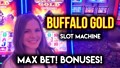 Buffalo Gold Slot Machine! Max Bet Bonuses!!