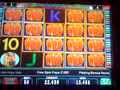 Igt- Wild Wolf Slot Machine Big Win!