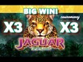 Jaguar Mist Slot - Big Win - Max Bet Win!!!! - Slot