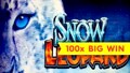 Snow Leopard Slot - 100x Big Win - Short & Sweet!