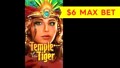 Temple of the Tiger Slot Machine $6 Max Bet *live Play* Big