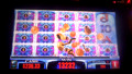 The Snow Queen Slot Machine Nice Win Progressive Bonus