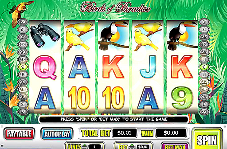 Birds of Paradise Slot Machine