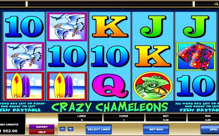 Crazy Chameleons Slot Machine