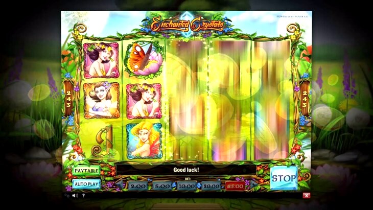 Enchanted Fairy Slots Machine