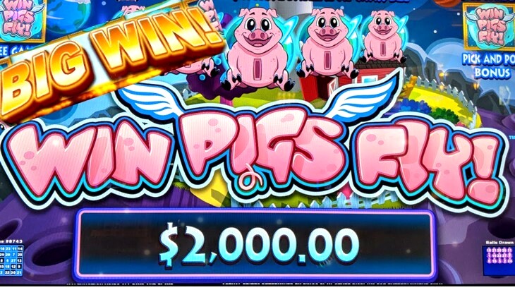 Flying Pig Slot Machine