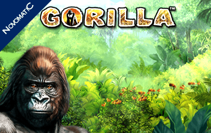 Gorilla Free Slots