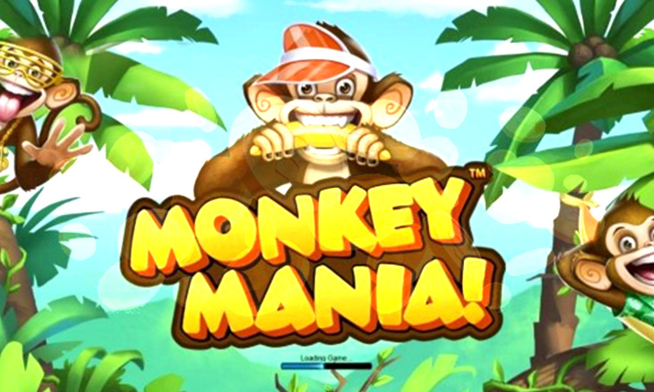Money Monkey Game